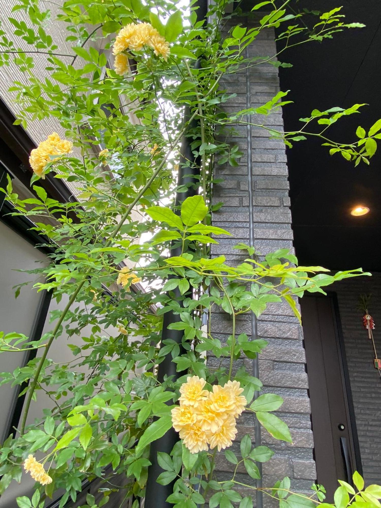 Hotel 遥華-Haruka House Kioto Zewnętrze zdjęcie
