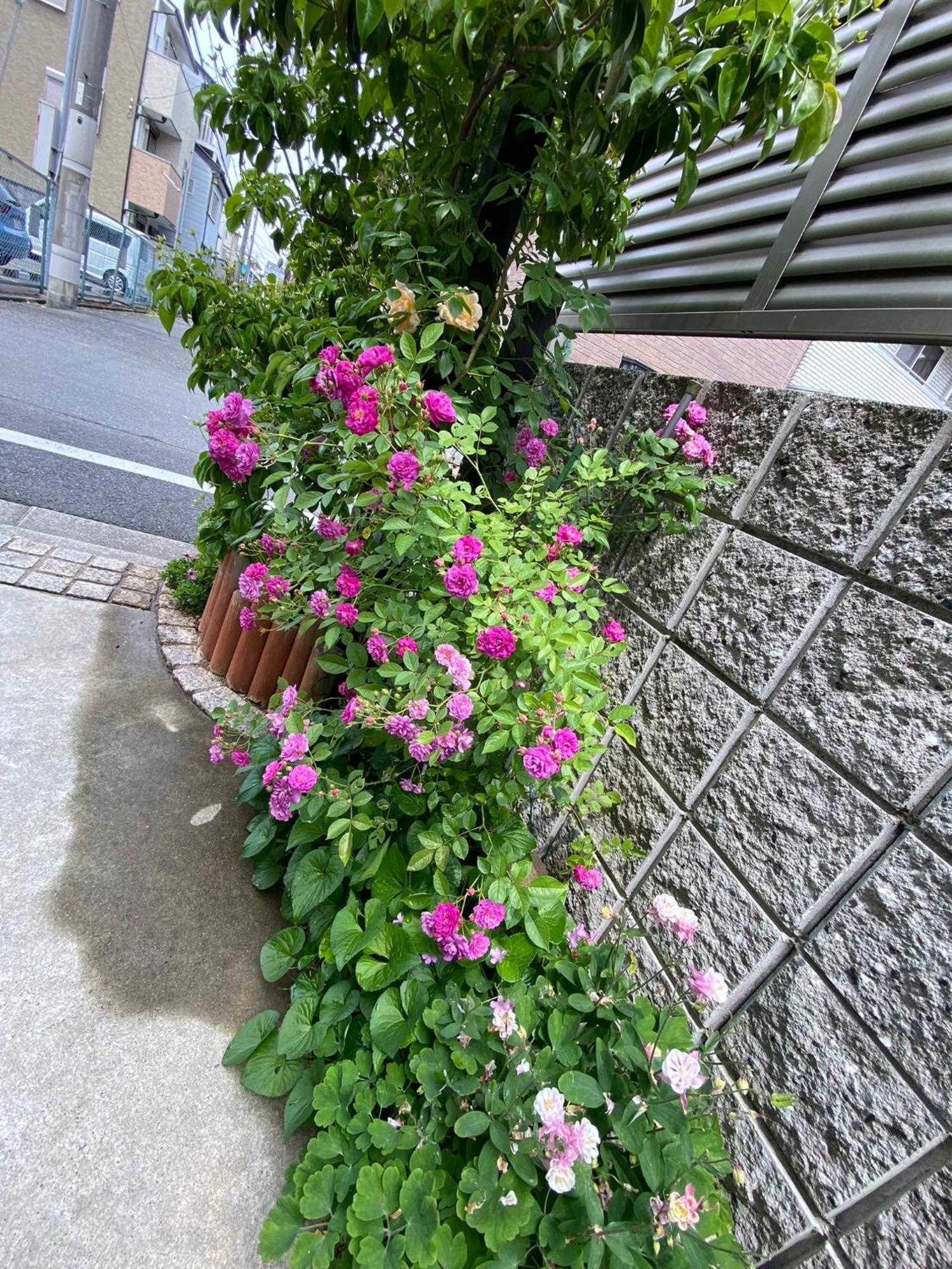 Hotel 遥華-Haruka House Kioto Zewnętrze zdjęcie