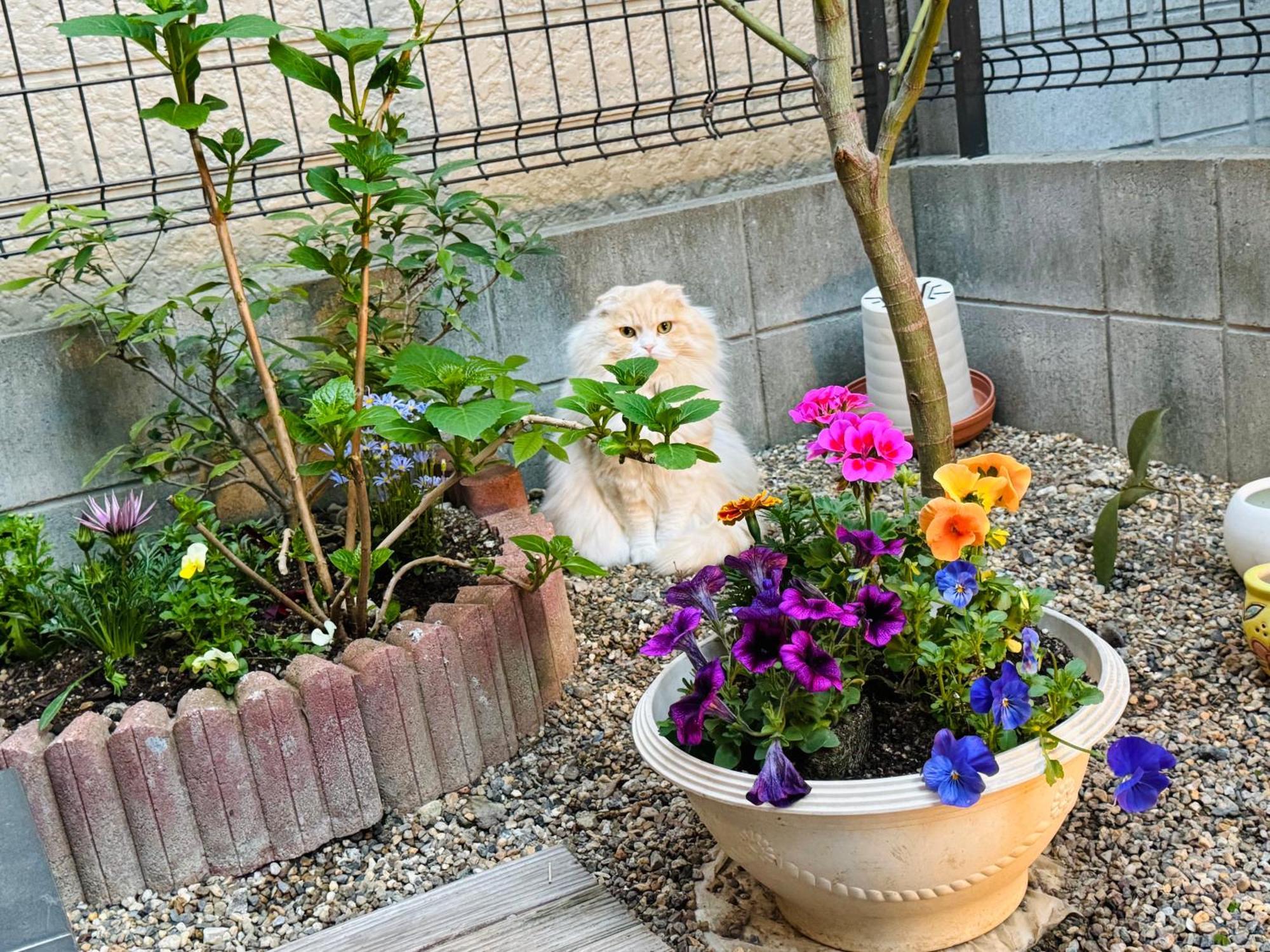Hotel 遥華-Haruka House Kioto Zewnętrze zdjęcie